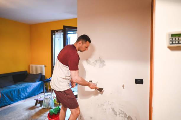 Best Crawl Space Mold Removal  in Cheval, FL